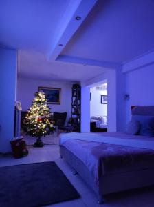 a bedroom with a christmas tree in a room at Basement Suite in Tríkala