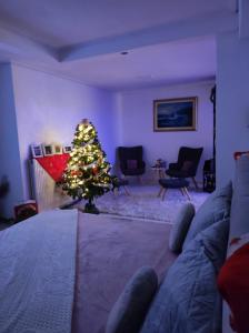 a living room with a christmas tree and a couch at Basement Suite in Tríkala