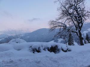 Apart Alpensonne v zimě