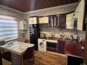 Kuchyň nebo kuchyňský kout v ubytování Gabala Home