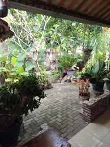Zahrada ubytování Dapur Ethnic Homestay