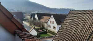 a view of a group of houses from a roof at Gästehaus zum Schlossberg in Vogtsburg +3 photos