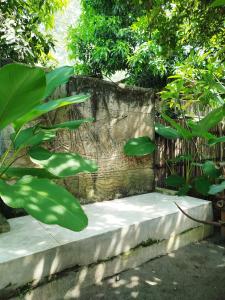 Zahrada ubytování Dapur Ethnic Homestay