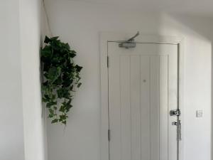 a white door with a plant next to it at Bright & Stylish en-suite bedroom suitable for singles, couples, and families in a 2bed apartment in Chatham