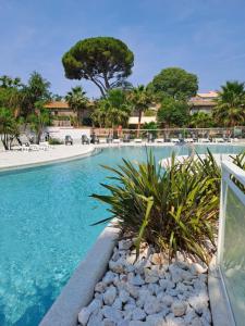 a swimming pool with blue water and palm trees at Camping Agde in Agde
