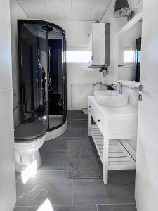 a bathroom with a toilet and a sink and a shower at Ferienhäuser Insel Usedom Haus Mila 6 - Blick aufs Achterwasser! Whirlpool und Sauna in Lütow +31 photos