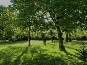 a group of trees in a field with green grass at Hôtel et SPA du Château in Lagord