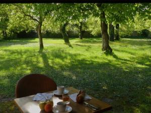 a table with a plate of fruit on it in a park at Hôtel et SPA du Château in Lagord