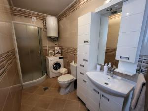 Koupelna v ubytování Apartman Djuric + 20 fotografií