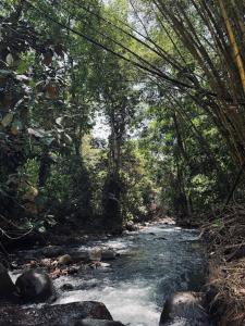 Foto dalla galleria di Bohemian Jungle Sanctuary with River, La Fortuna a Chachagua Altre 15 foto