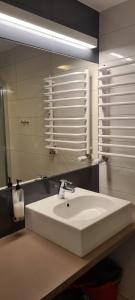 un bagno con un lavandino bianco e uno specchio di Apartamenty Czarna Góra Is 7 a Sienna