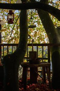 Fotografia z galérie ubytovania Treehouse escape v destinácii Kværndrup