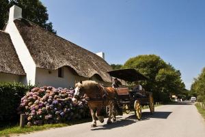 a horse pulling a carriage down a road at Maison 4 Chb prox Mer, Golfs, Marais Salants, Balades in Guérande