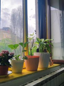 Fotografie z fotogalerie ubytování Eleven Hostel v Bělehradě