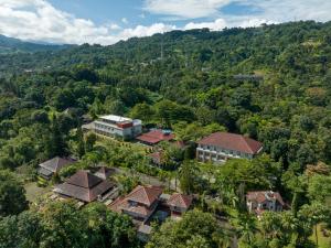 an aerial view of a village in the forest at The Glamping at ARTOTEL Pelangi Park in Pasirkuda