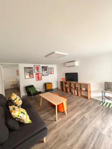 TV a/nebo společenská místnost v ubytování Appartement rétro nature avec jardin 15 min Toulouse centre