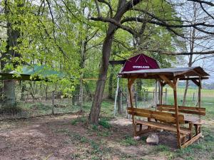 Κήπος έξω από το Baumzelt auf Bio-Bauernhof im Natur- und Sternenpark +4 φωτογραφίες