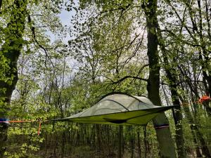 grow zelt test Spider Farmer 60x120x180cm 200W Growzelt Komplett Set mit Drehzahlregler Length:19' Shimano XTR M9120 Trail transparent glasses
