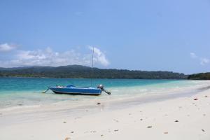 ein blaues Boot am Strand neben dem Wasser in der Unterkunft Green Anda's Homestay - Community Based Ecotourism in Ujung Kulon National Park in Tjikawung