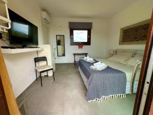 Letto o letti in una camera di Studios con vista