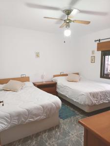 a bedroom with two beds and a ceiling fan at Casa Rural en Padules GR in Padules