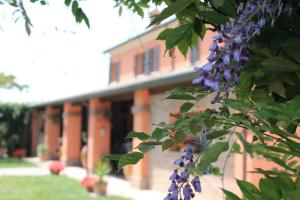 Gallery image of Agriturismo Maloura in Savignano sul Rubicone