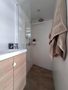 a bathroom with a shower and a sink and a shower at T-Rots, prachtig zomerhuis in Noordwijk aan Zee