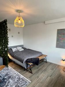 a bedroom with a bed and a chandelier at Stillvolles Apartment mitten in little Tokyo in Düsseldorf