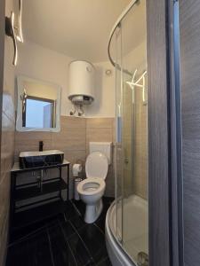 ein Badezimmer mit Toilette, Waschbecken und Dusche in der Unterkunft Apartments Knežević in Jadranovo + 37 Fotos