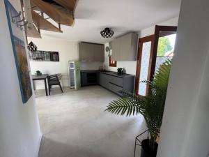 a kitchen with a plant in the middle of it at Casabianca Resort Villas in Lignano Sabbiadoro