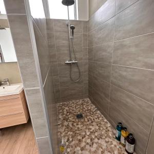 Łazienka z prysznicem i podłogą wyłożoną kafelkami w obiekcie Le Loft Horloger avec parking w Besançon