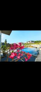 une vue d'un bassin d'eau avec des fleurs roses dans l'établissement Villa Istana Fitri, à Situ 2