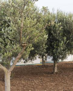 Paesaggio naturale nelle vicinanze dell'affittacamere