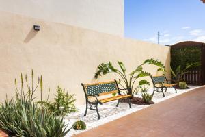 Dos bancos sentados junto a una pared con plantas. en Villa Luxury with pool Tenerife, en Las Galletas