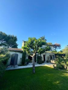 a house with a tree in the yard at Mas Paradou, au coeur des Alpilles in Paradou