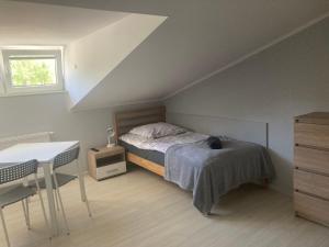 Postel nebo postele na pokoji v ubytování Hostelik Przy Przystanku