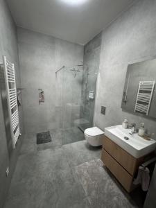 a bathroom with a shower and a sink and a toilet at Apartmán Brezovina Lux in Veselé +18 photos