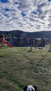 Gallery image of Cabañas Hostalner in Carrizales +8 photos