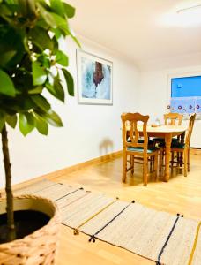 ブルガウにあるFerienwohnung ESMAのダイニングルーム(テーブル、椅子、植物付)