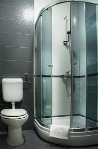 a bathroom with a toilet and a glass shower at Domus Damar in Međugorje