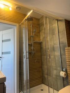 a shower with a glass door in a bathroom at Apartamenty Niesiołowice na Kaszubach in Niesiołowice