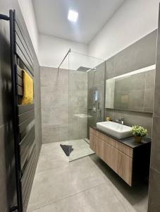 布达佩斯TubLife Terrace Suite II PRIVATE JACUZZI II freeparking的带水槽和淋浴的浴室