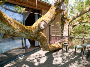 Φωτογραφία από το άλμπουμ του Cabane perchée - lac privé, spa & nature σε Sadirac