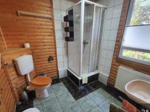 a bathroom with a toilet and a shower and a sink at Ferienhaus Petra in Elbingerode