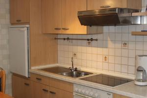 a kitchen with a sink and a refrigerator at Ferienwohnungen Angela - Ruhe, Komfort und Erholung im Grünen in Bad Marienberg