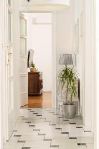 Fotografie z fotogalerie ubytování Artistic luxury flat with Colosseum view v destinaci Pula