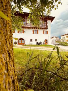 Galeriebild der Unterkunft Agritur Ca' de Mel in Fiavè