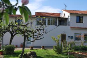 a white house with a tree in the yard at Apartment Rama in Poreč