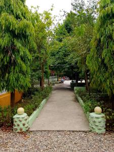 Aed väljaspool majutusasutust Hotel Rhino Land-Sauraha Family Home