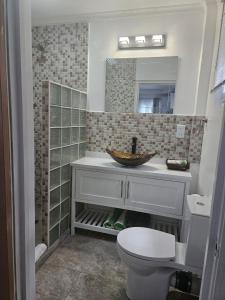 un bagno con un water, un lavandino e uno specchio di Agape Suites-Room 2-Ground Floor a Soufriere